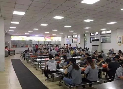 食堂饭菜与会议服务 留住员工的味蕾与归属感